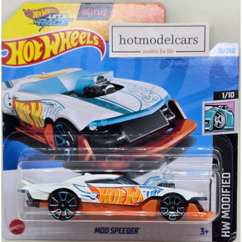 HW2024ML-010-HTD13.png